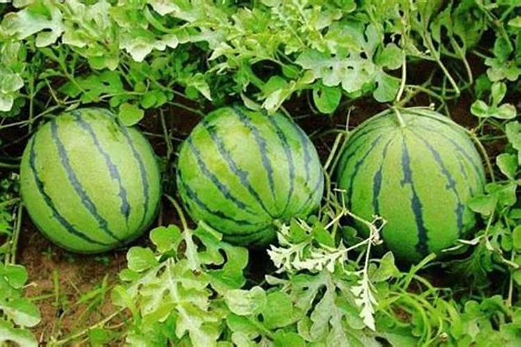 无锡嘉弘塑料科技有限公司企业简介