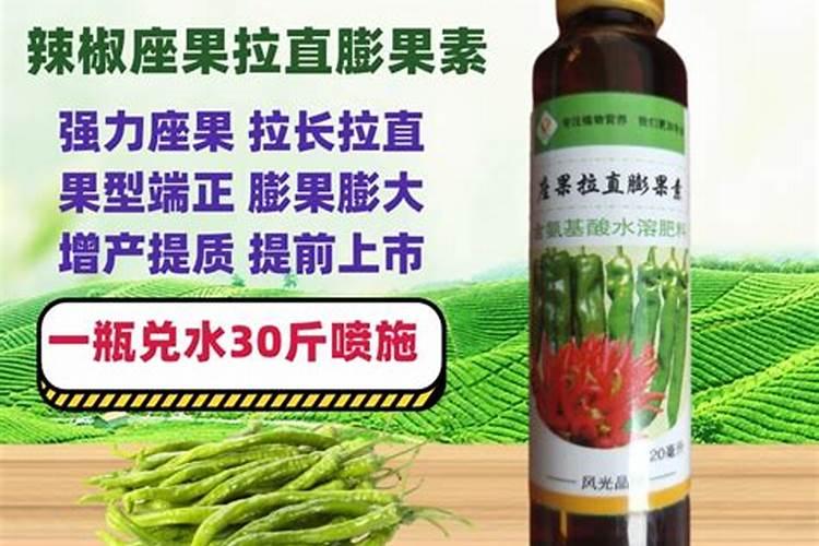 辣椒坐果期怎么施肥管理