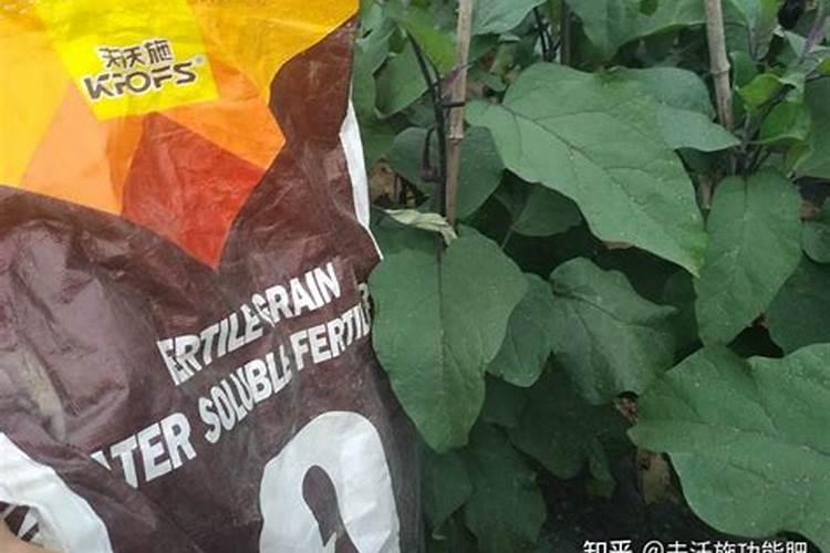 月季如何施肥 氮肥