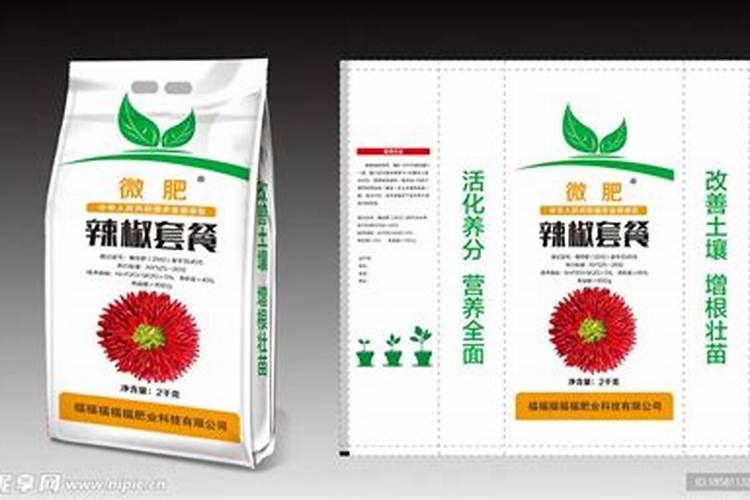 国王椰子的养殖方法 怎么养殖国王椰子
