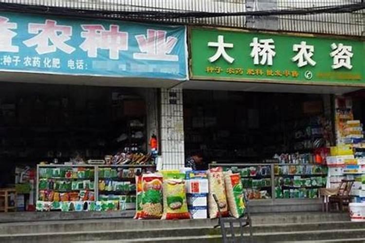 三亚哪里有芒果采摘园
