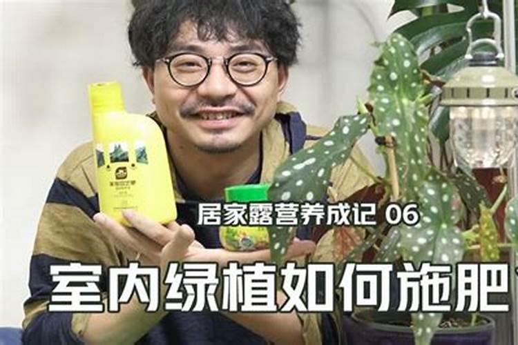 养花一般用什么肥、绿植用什么肥料最好