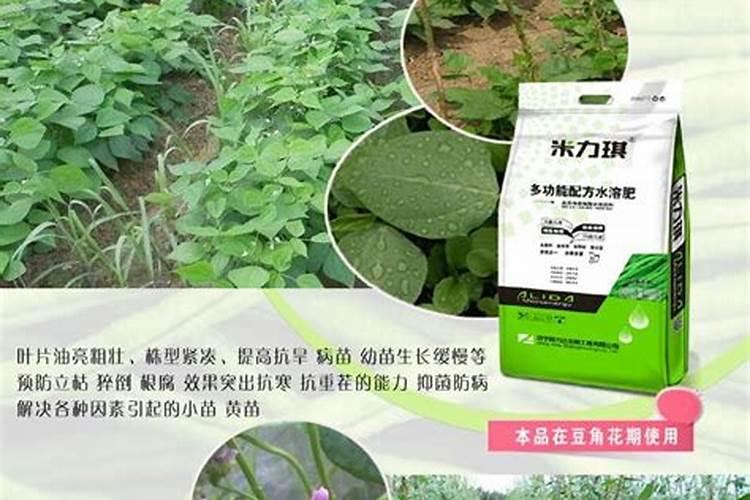 豆角提苗用的平衡型水溶肥哪种好？