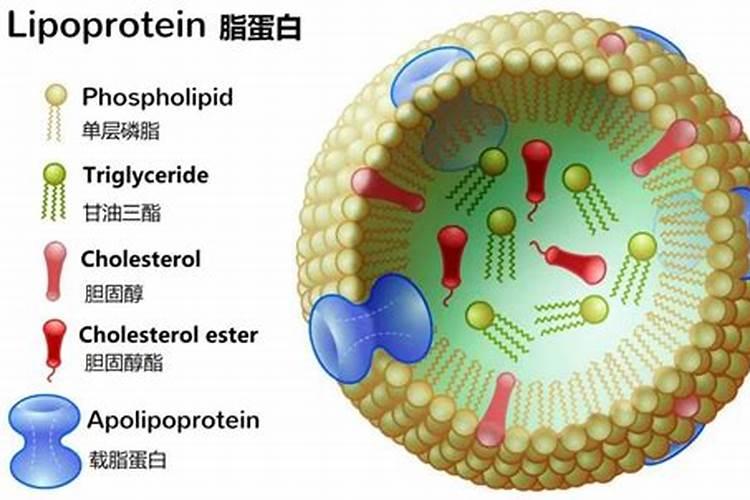 蛋白5000转能离心下来吗