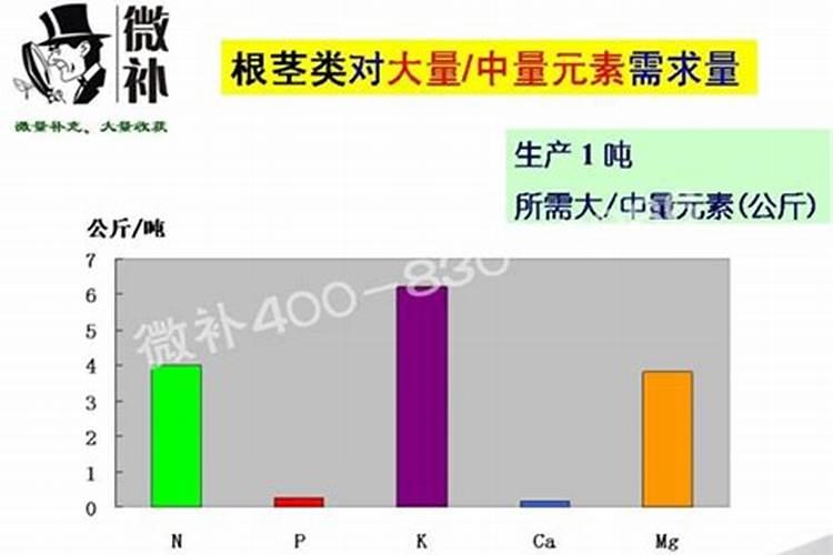 镁肥有哪些品种？如何施用？