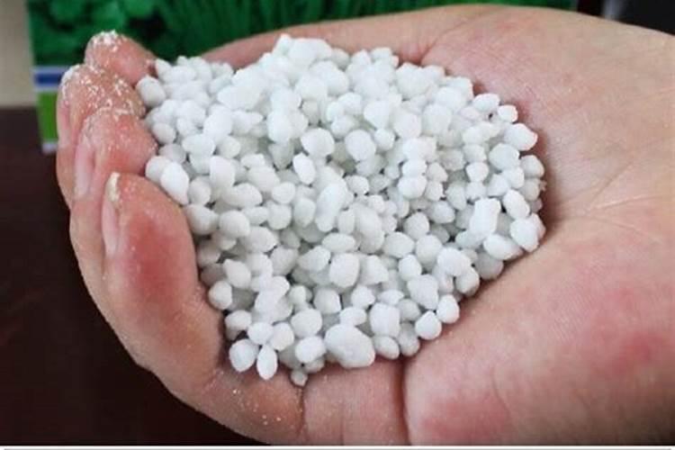 当今市场什么牌子的复合肥最好