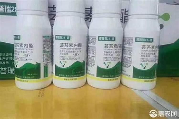 芸苔素的效果是什么？应该如何使用？