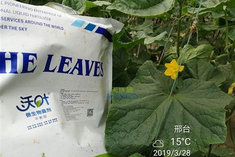 每年十月至次年四月是红枣的销售旺季