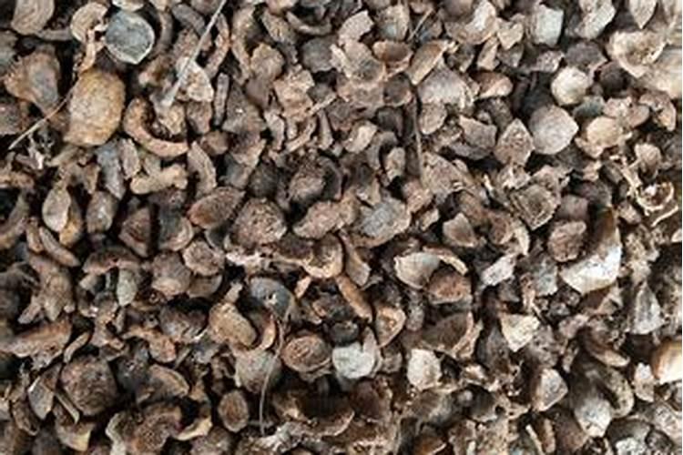 核桃壳可以做花土吗