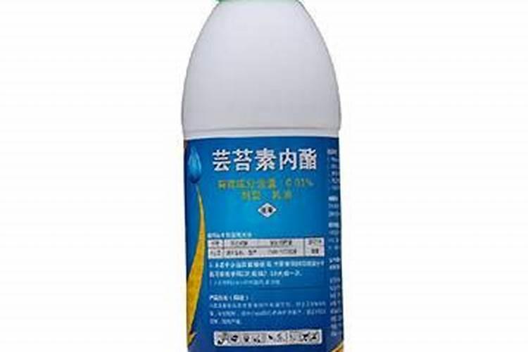 番茄落花落果怎么解决？什么原因造成的呢？