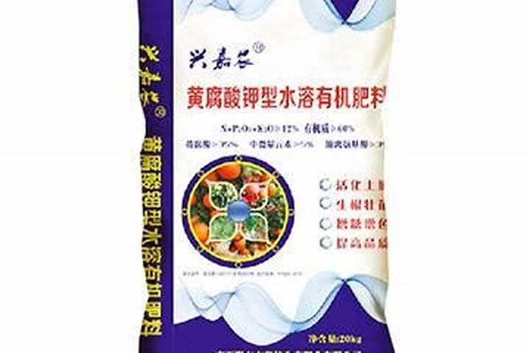 玉米几叶能用芸苔素