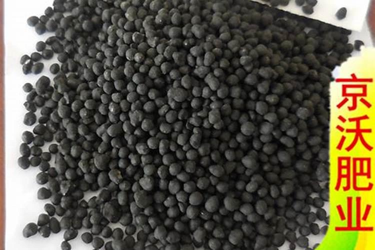 种植百香果什么时间施肥最好 百香果什么时候施肥