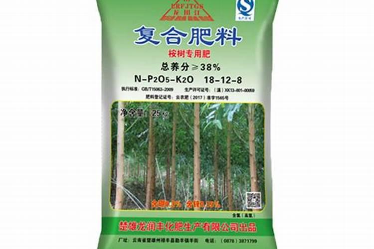 那个季节入桉树肥料好