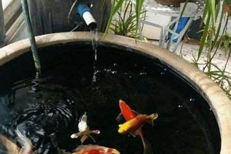 水溶肥放屋对人有害健康吗