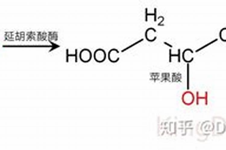 柠檬酸钙和其他元素冲施或基施会产生拮抗吗？