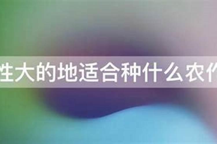 改善碱性土壤用什么肥料