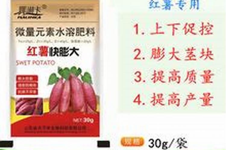 萝卜种植注意事项 萝卜应该怎么养殖