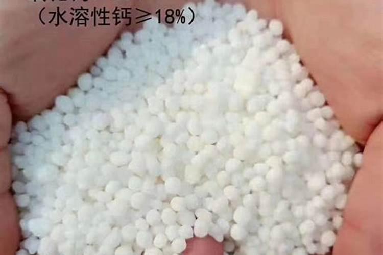 地爪地种大蒜应注意什么？