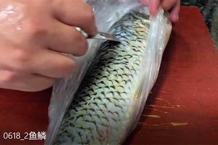 如何自制磷肥