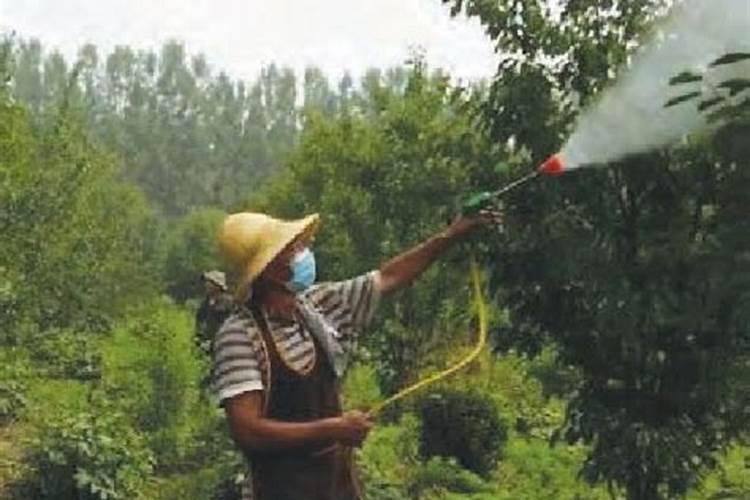 氧化钙能和二氧化碳反应吗若能反应,那反应后的质量是变大还是变小呢