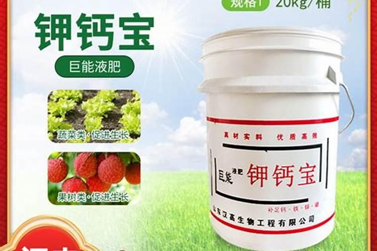 柑橘膨果期用什么肥料好？膨果期追肥用什么肥？柑橘专用叶面肥!