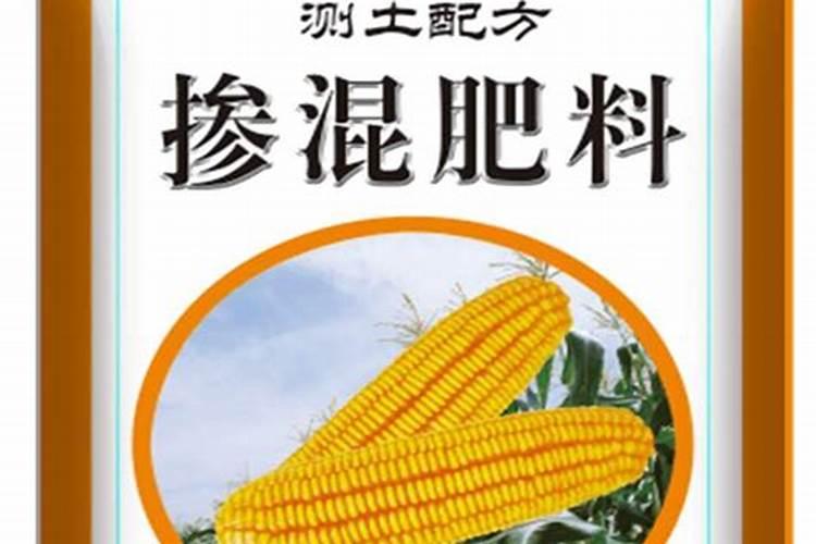 十大养不死的大型绿植