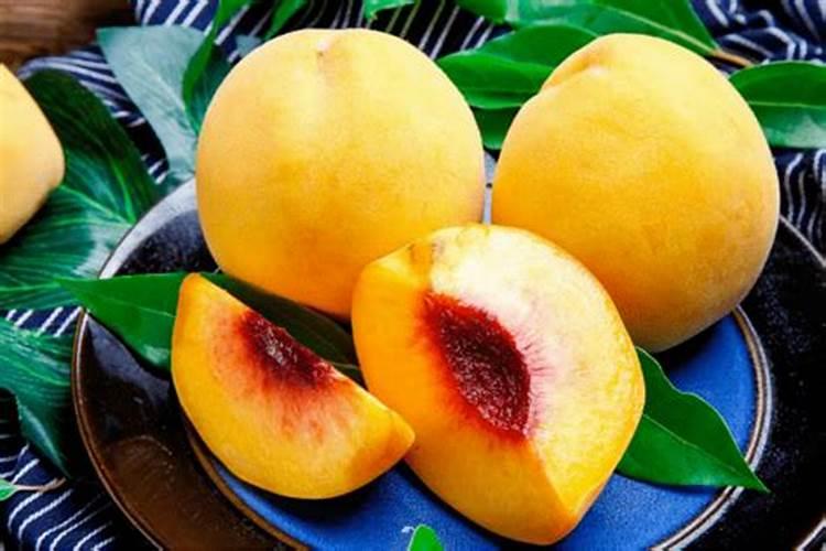 黄桃树发芽时嫩叶一冷就卷卷的原因？