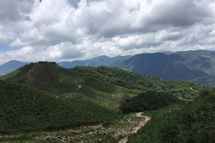 纳米碳酸钙的著名生产企业