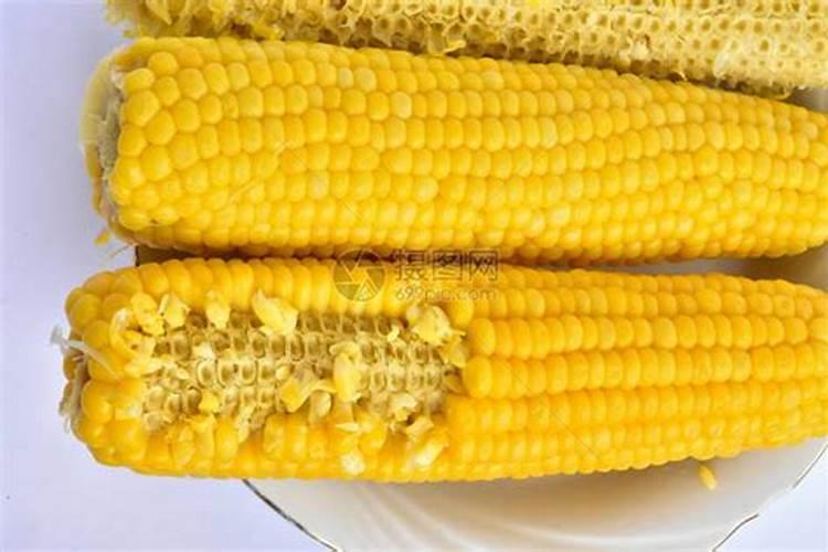 玉米底肥氮磷钾最佳配方
