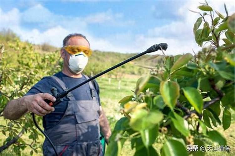 磷肥的氟化物、放射性物质、重金属、三氯乙醛对环境污染及危害？氟化物...