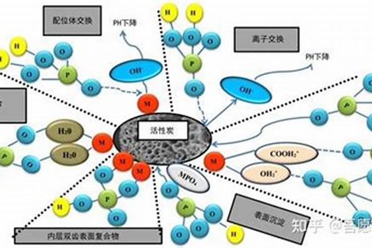怎么去除磷肥渣里面有毒物质