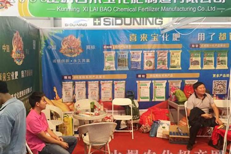 柑橘缺镁症防治方法