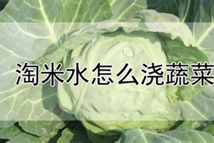 怎么样沤肥？