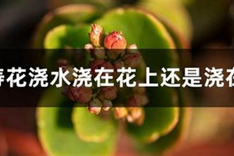 山东博友农业科技有限公司怎么样？