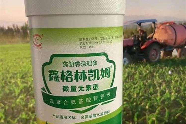 花生不同生长阶段的叶面肥使用技巧 花生应该怎么施肥