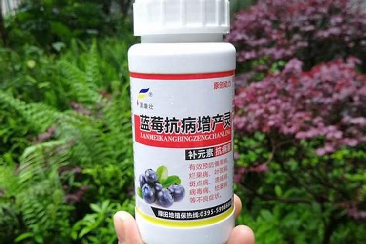 富贵椰子多久开花