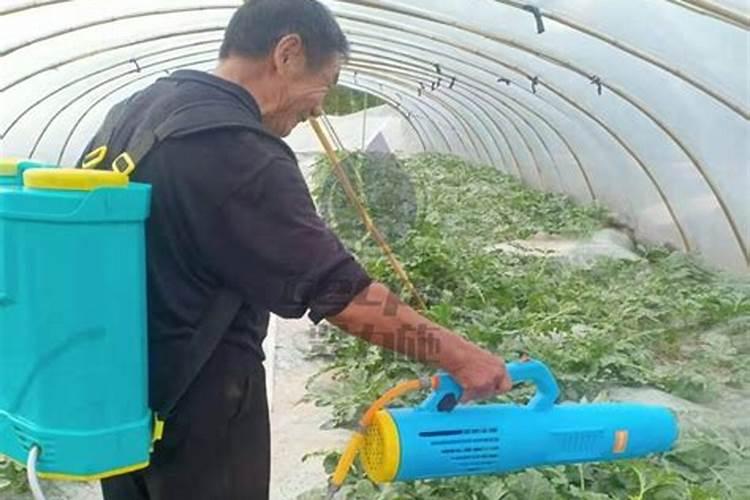 花生叶面肥用什么高产 什么时候施肥好