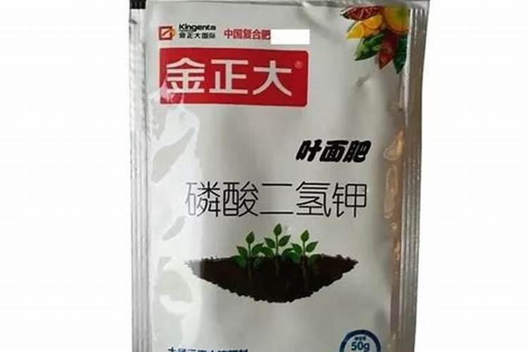 钾肥施用要注意什么