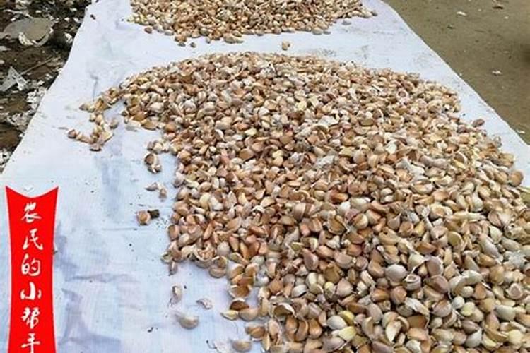 氮肥磷肥钾肥可以同时兑水浇花吗