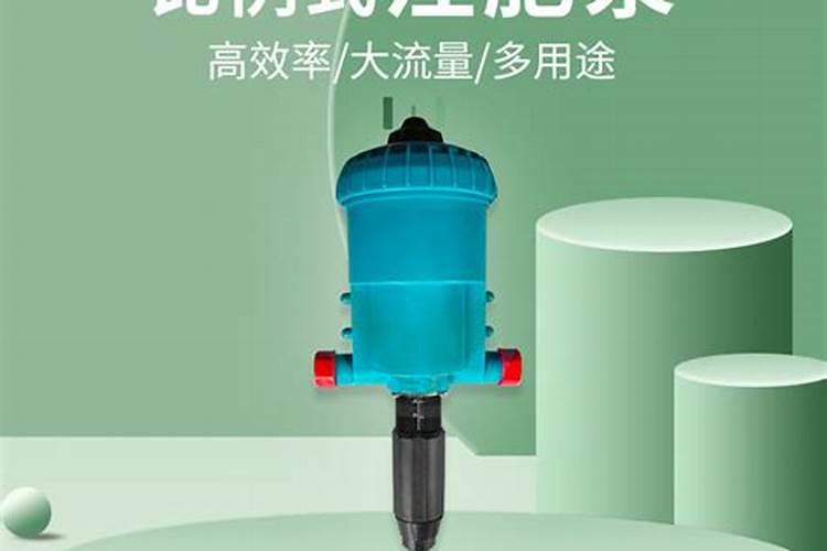 榉树怎么施肥？