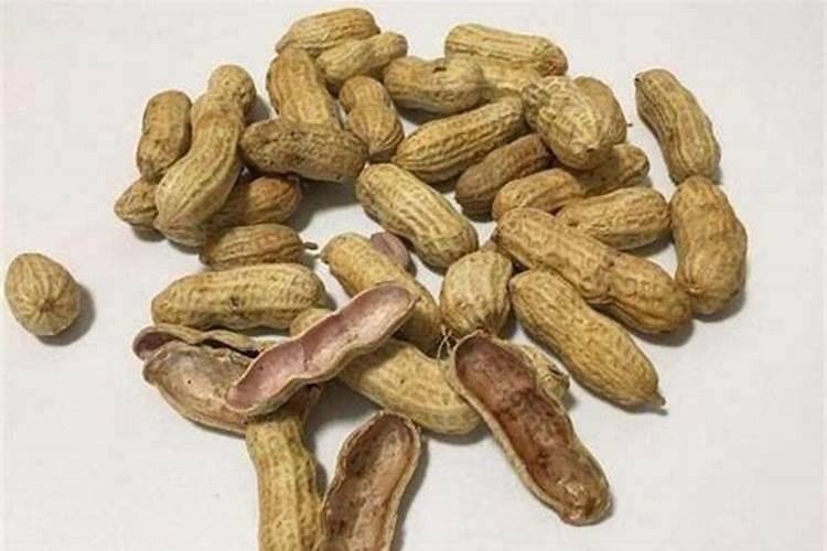氮肥养花使用方法有什么？