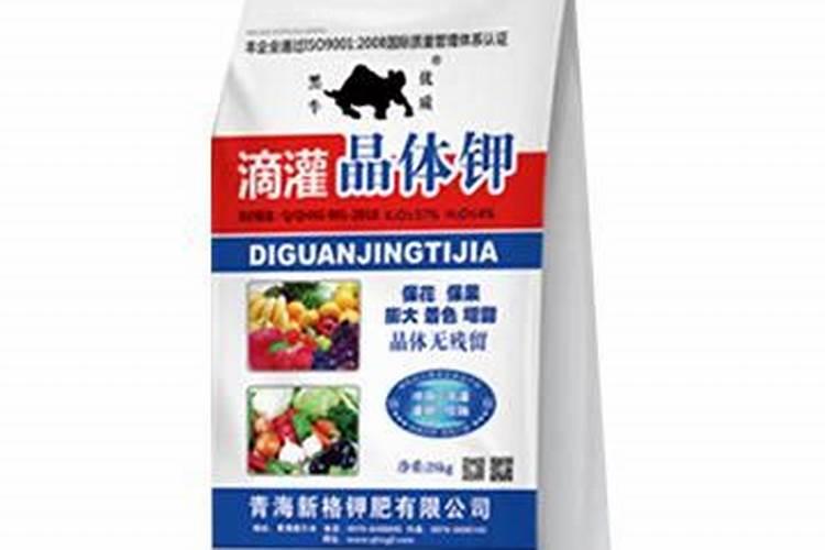 12种含锌高的食物