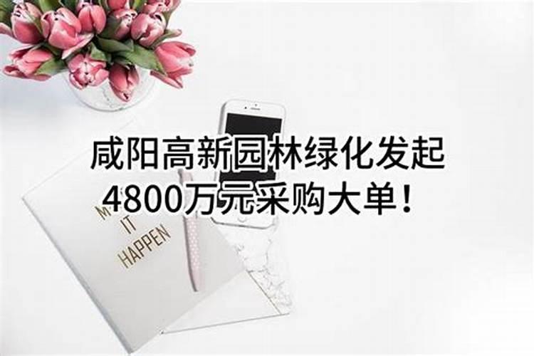 紫叶李的种植技术要点有哪些？