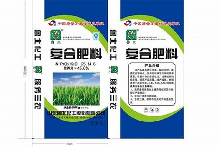 多肉叶插长出小芽能淋雨吗