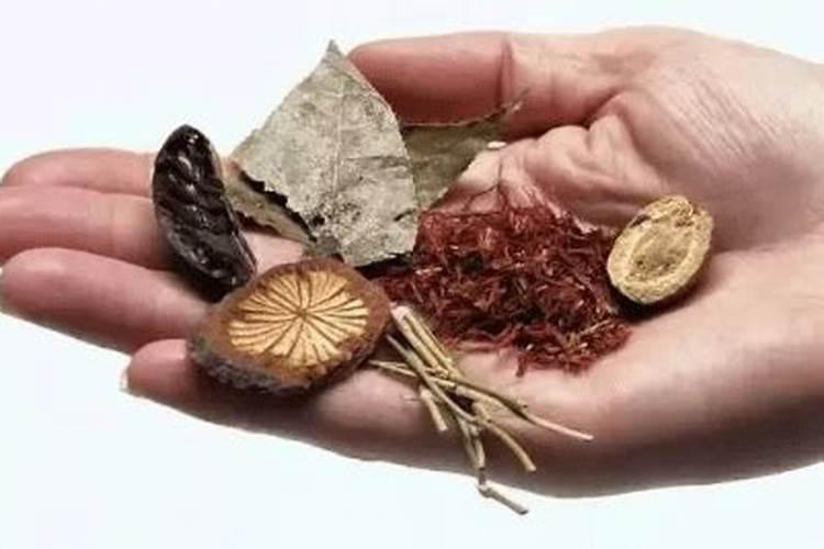 芒果结果期的管理 芒果养殖需要注意什么