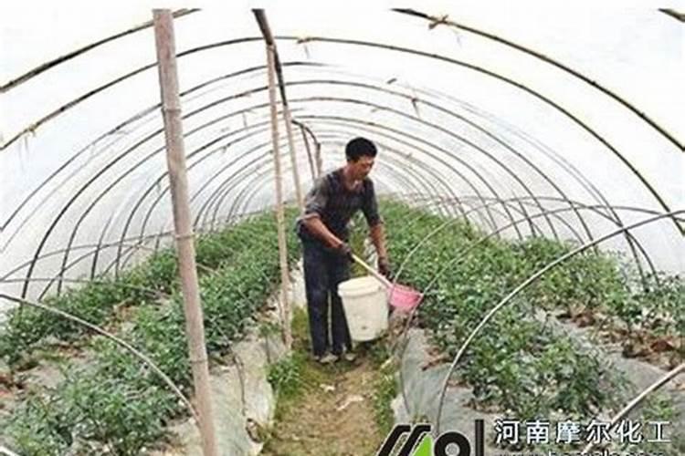磷肥,氮肥,钾肥,都各有什么用？
