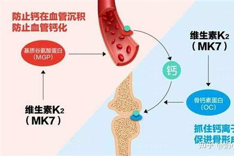 草莓什么时候施肥最好？