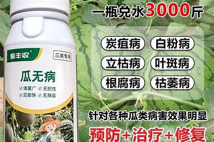西瓜药害多久能缓解