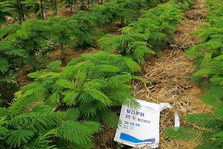 冲施大量元素水溶肥易犯的五大误区是什么呢？