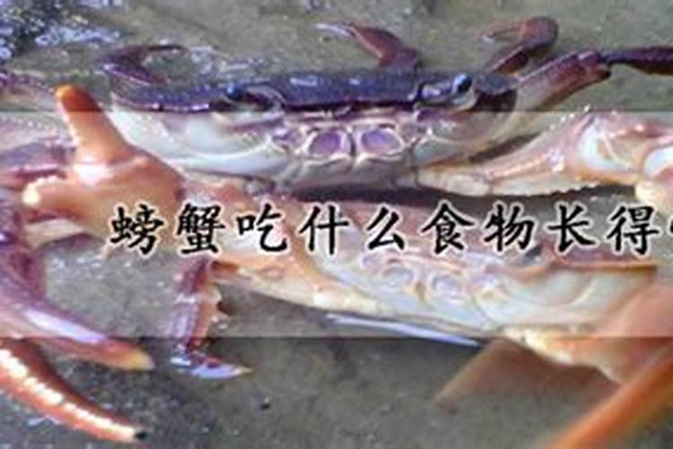 叶面肥有哪些牌子 排行榜都有哪些上榜